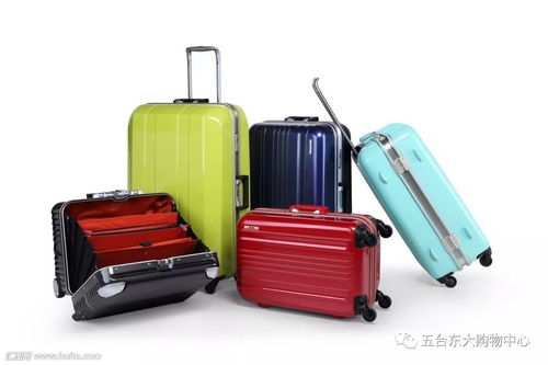 升學(xué)季箱約美麗包，啟航夢(mèng)想新篇章